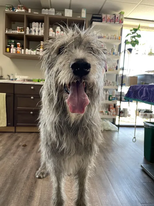 Western Animal Hospital Picture 10