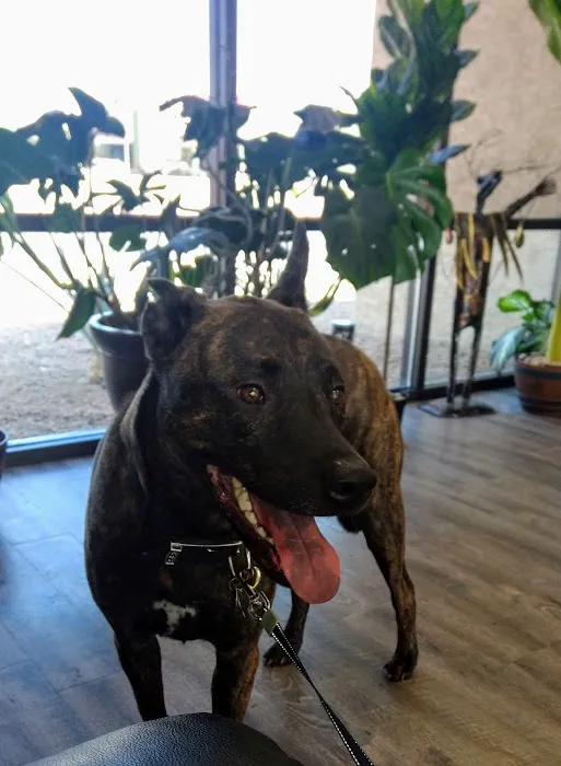 Western Animal Hospital Picture 7