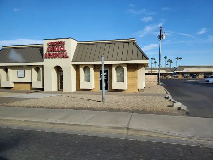 Western Animal Hospital Picture 2