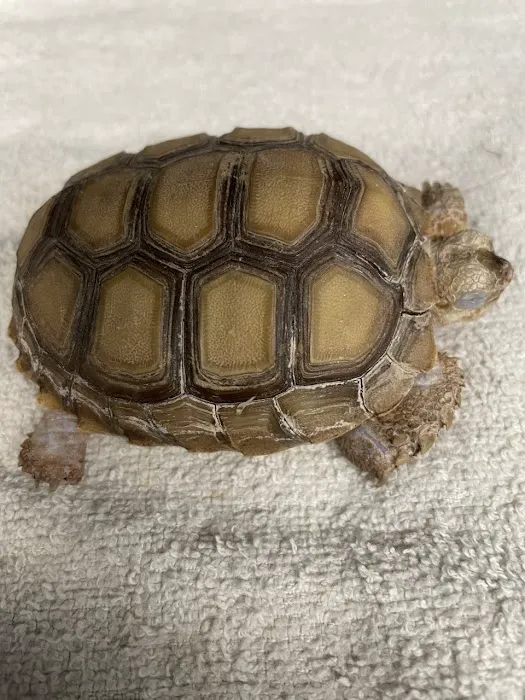 Western Animal Hospital Picture 1