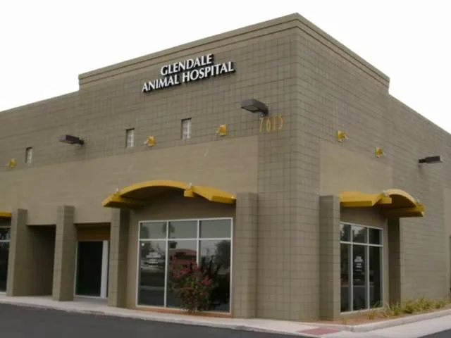 Glendale Animal Hospital Picture 9