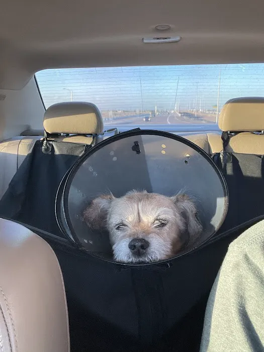 Glendale Animal Hospital Picture 10