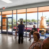 Spay Neuter Clinic: Glendale ico