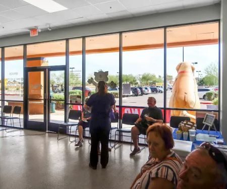 Spay Neuter Clinic: Glendale