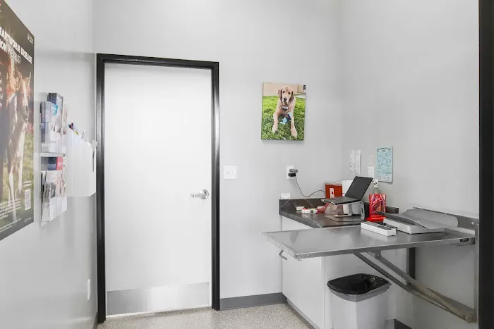 Spay Neuter Clinic: Glendale Picture 8