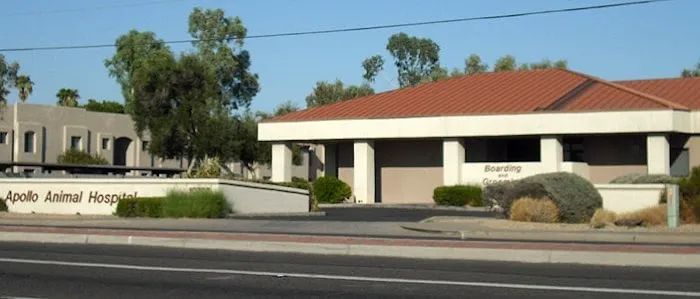 Apollo Animal Hospital Picture 7
