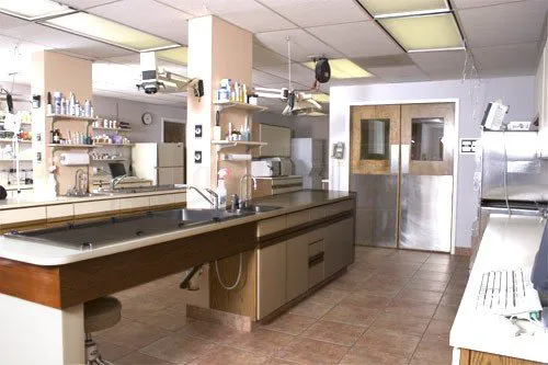 Apollo Animal Hospital Picture 6