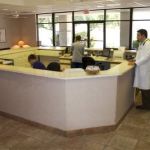 Apollo Animal Hospital