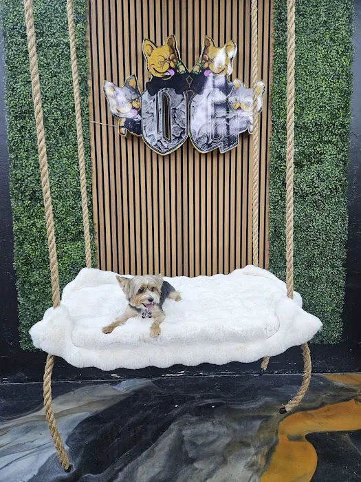 OG Pet Shop Picture 2