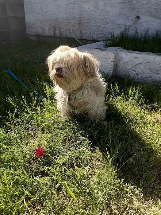 Catalina Animal Hospital Picture 10