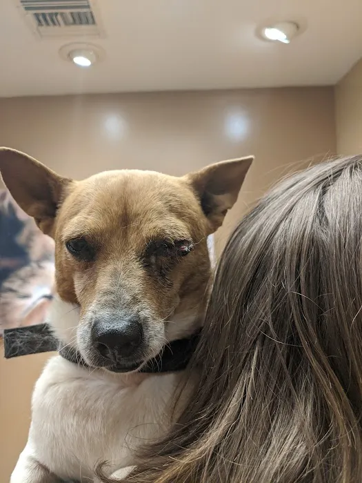 Catalina Animal Hospital Picture 6