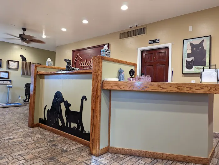 Catalina Animal Hospital Picture 8