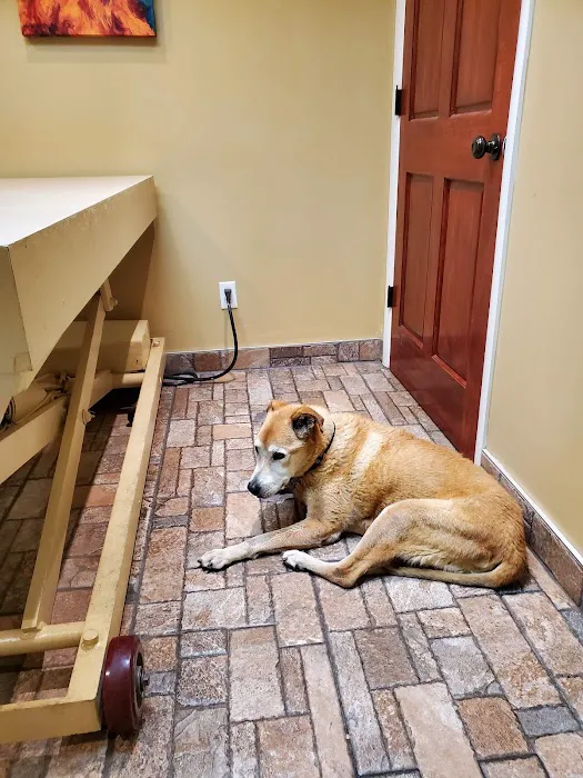 Catalina Animal Hospital Picture 7