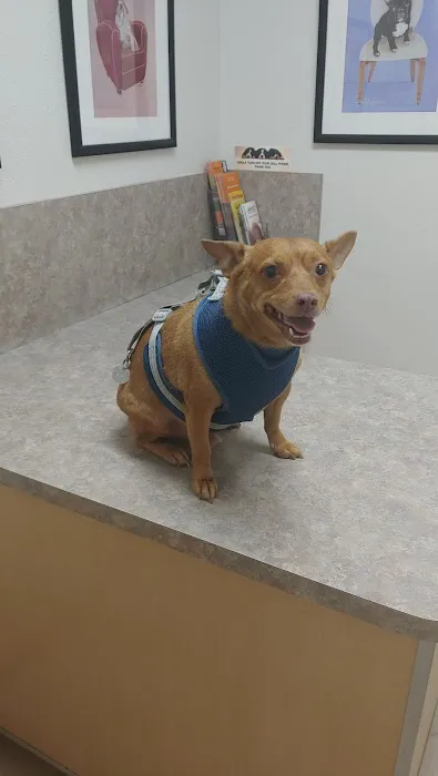 Acoma Animal Clinic Picture 7
