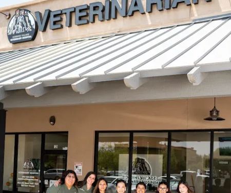 Dobbins Village Veterinary Hospital