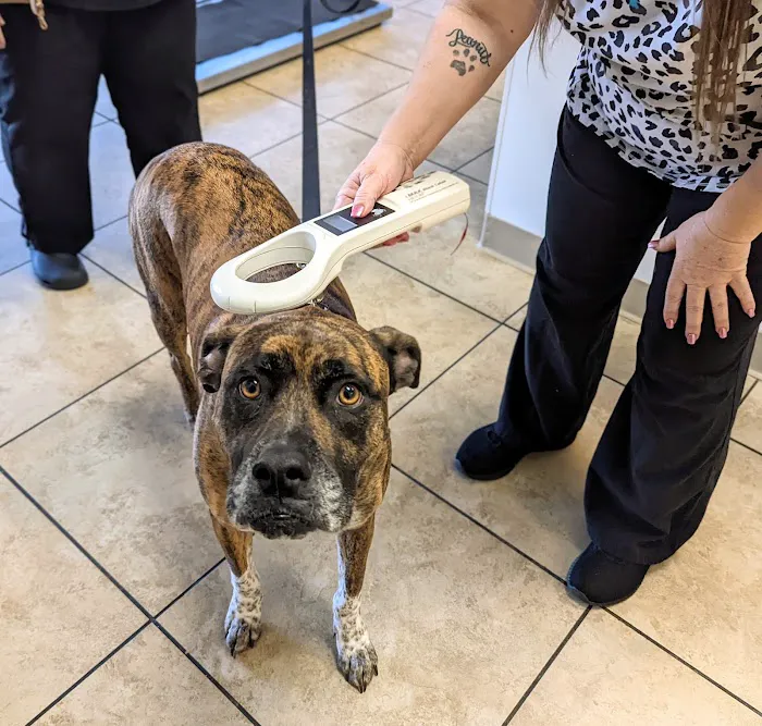 Tolleson Animal Clinic Picture 9