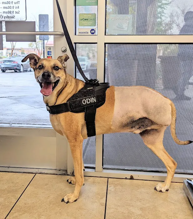 Tolleson Animal Clinic Picture 8