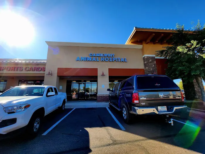 Camelwest Animal Hospital Picture 1