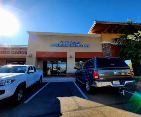 Camelwest Animal Hospital