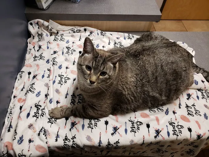 Camelwest Animal Hospital Picture 9