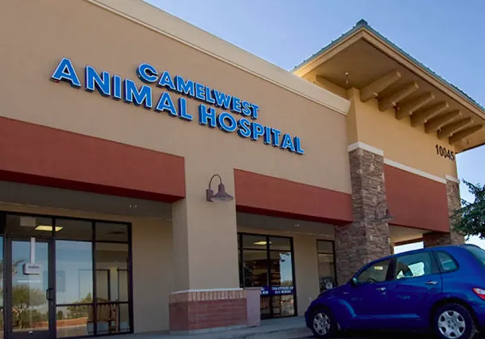 Camelwest Animal Hospital Picture 3