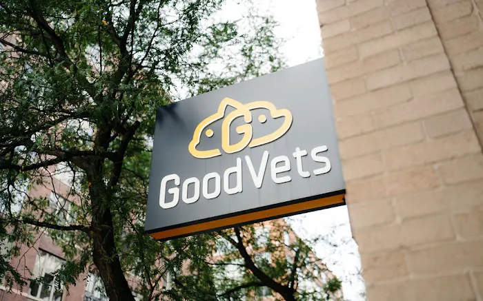 GoodVets Tolleson Picture 7