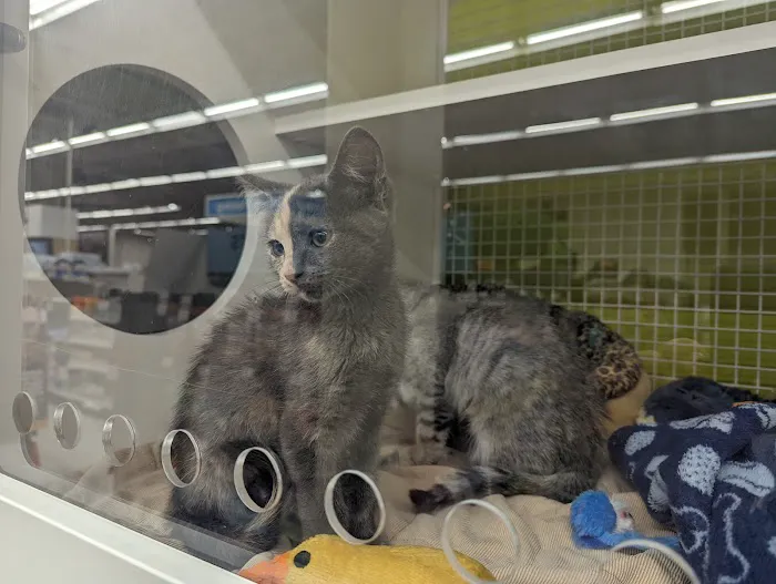 Petco Picture 10