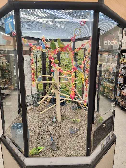 Petco Picture 4