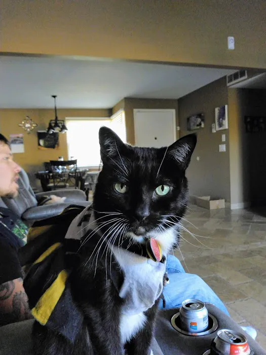 Arizona Veterinary Emergency & Critical Care Center Picture 8
