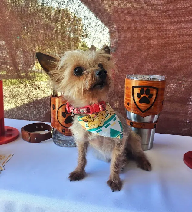 Arizona Veterinary Emergency & Critical Care Center Picture 5