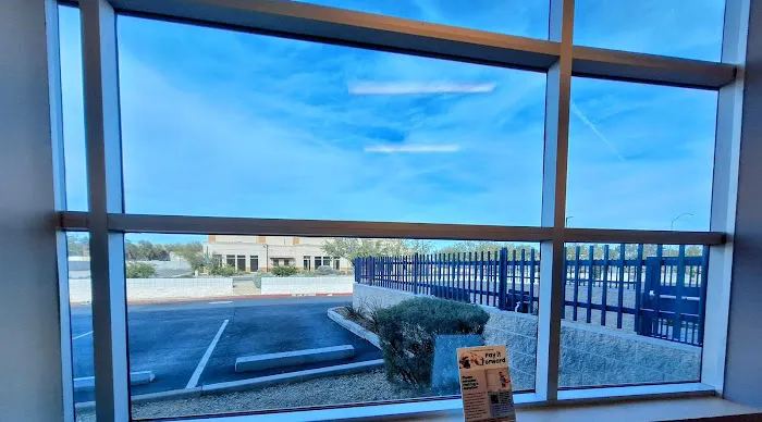 Canyon State Veterinary Specialties Picture 1