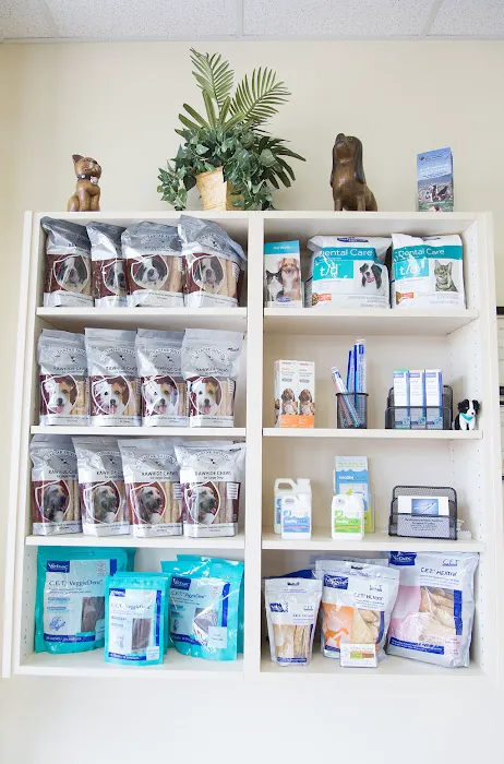 Arizona Veterinary Dental Specialists - Peoria Picture 10