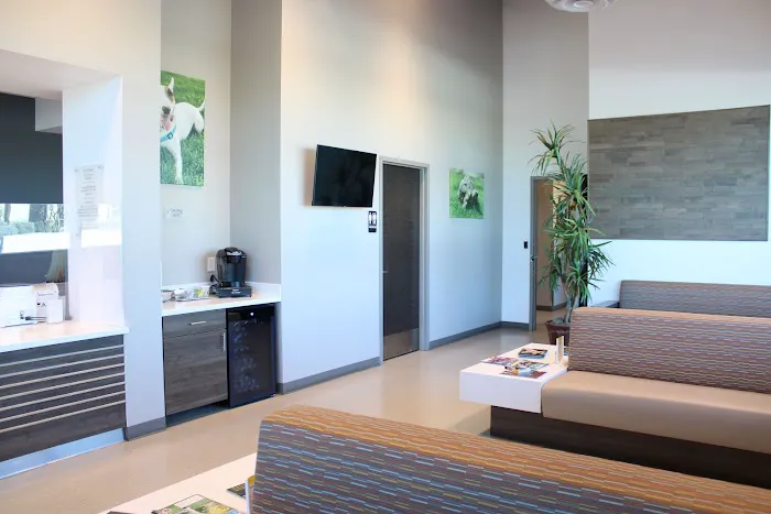 Arizona Veterinary Dental Specialists - Peoria Picture 5