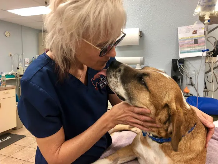 Arizona Veterinary Dental Specialists - Peoria Picture 1