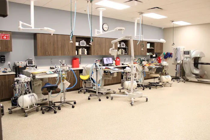 Arizona Veterinary Dental Specialists - Peoria Picture 9