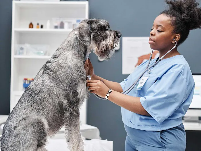 Banfield Pet Hospital Picture 3