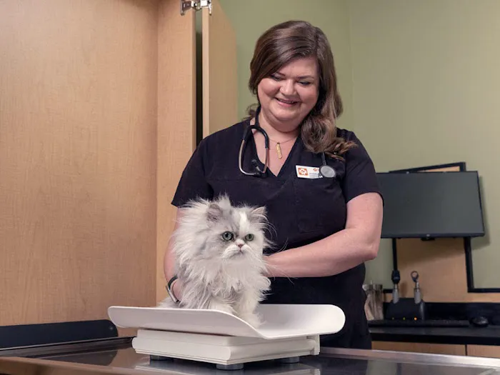 Banfield Pet Hospital Picture 8
