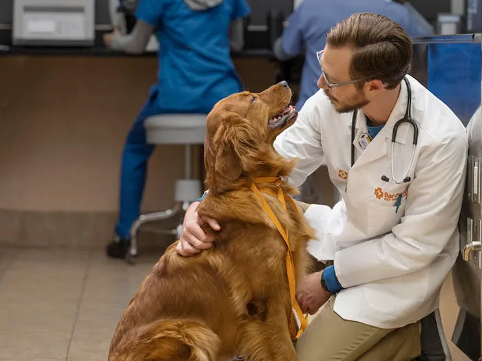 Banfield Pet Hospital Picture 1