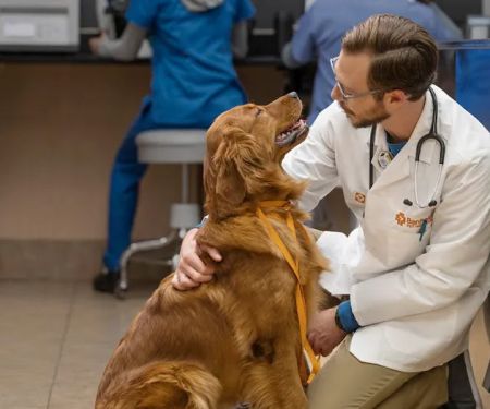 Banfield Pet Hospital