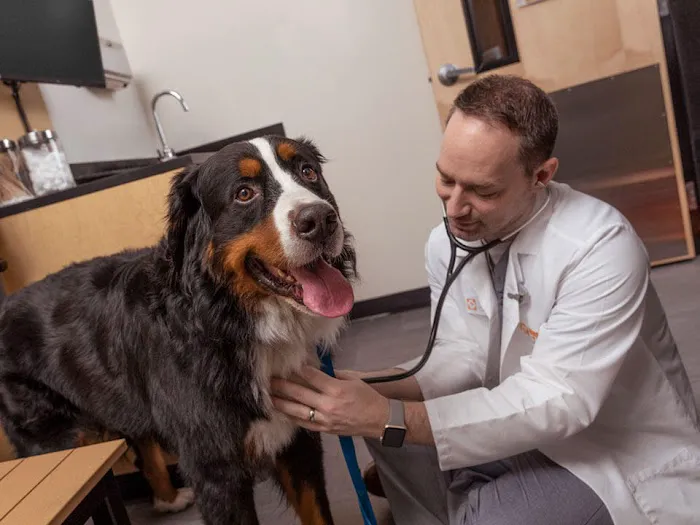 Banfield Pet Hospital Picture 6