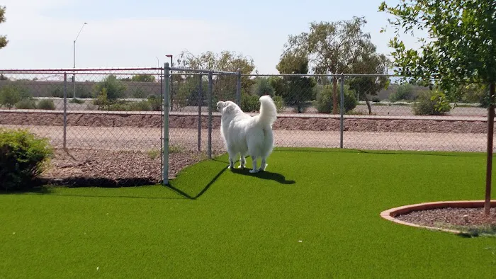Eye Care for Animals - Avondale Picture 3