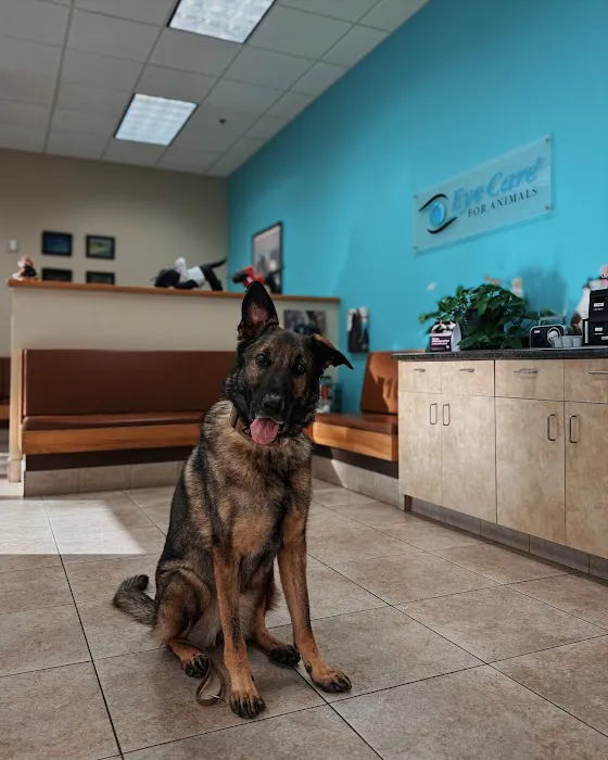 Eye Care for Animals - Avondale Picture 8