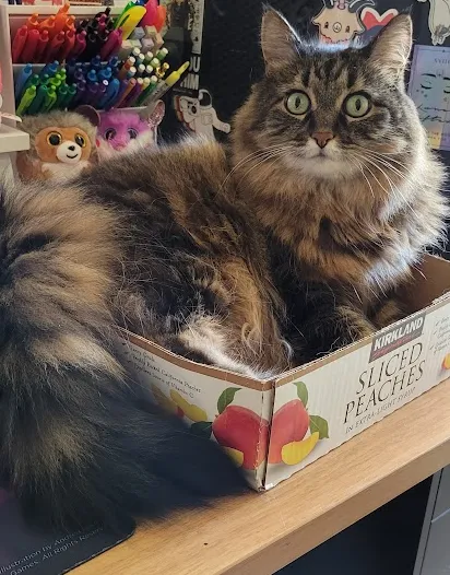 BluePearl Pet Hospital Picture 5