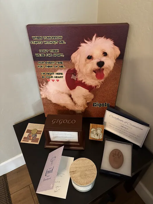 BluePearl Pet Hospital Picture 9