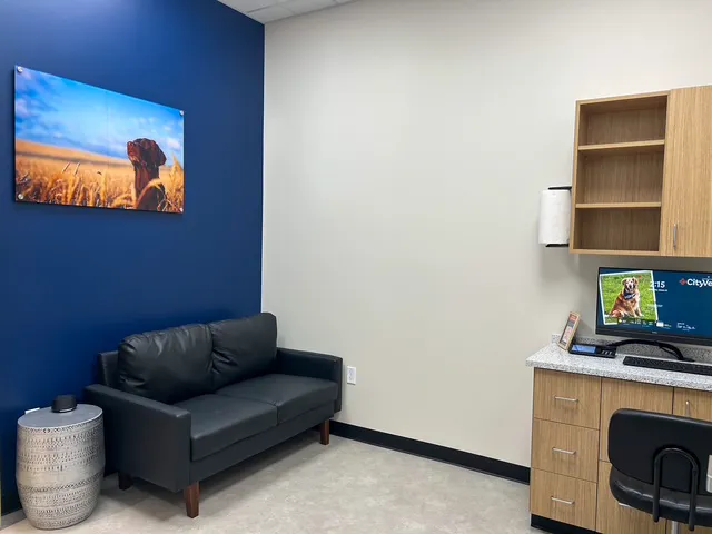 CityVet | Goodyear Picture 5