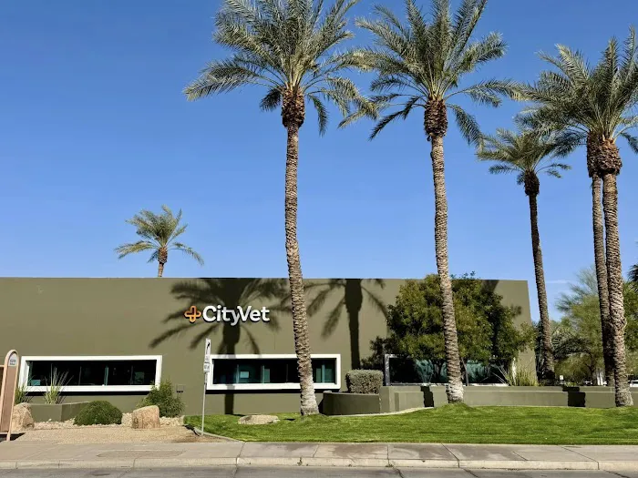 CityVet | Goodyear Picture 8