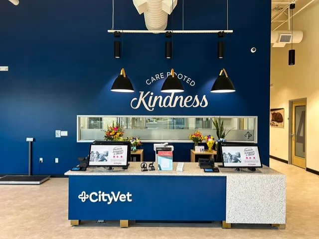 CityVet | Goodyear Picture 10