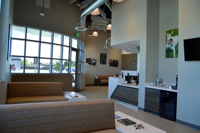 Southwest Veterinary Surgical Service, PC Picture 6
