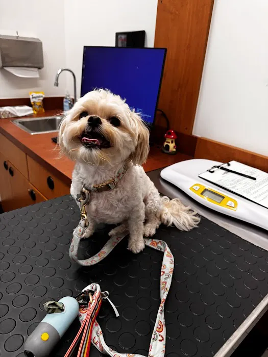 PetSmart Veterinary Services - Phoenix (Metro Center) Picture 9