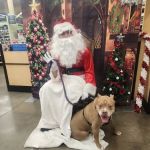 PetSmart Veterinary Services - Phoenix (Metro Center)
